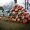 Image result for Pumpkin Fests in Wisconsin