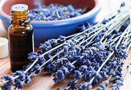 Image result for Lavender Pure Essential Oil (GC/MS Tested), 16 Fl Oz (473 Ml) Canister