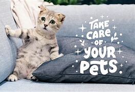 Image result for Pet Slogans