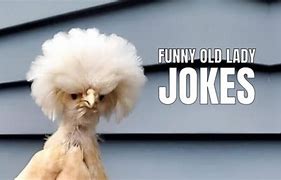 Image result for Old Lady Jokes Clean
