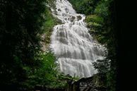 Image result for Bridal Veil Falls Provincial Park