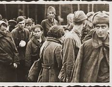 Image result for War Camp Prisoners