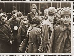Image result for Soviet Prisoners of War