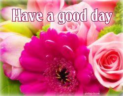 Image result for Have a Great Day with Flowers