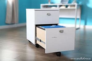 Image result for Portable File Cabinet