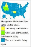 Image result for United States Firing Squad
