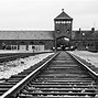 Image result for Auschwitz Album Suitcases