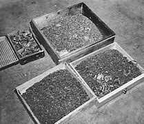 Image result for Nazi Gold Teeth