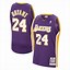 Image result for Lakers City