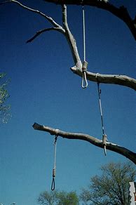 Image result for Person Hanging From Rope