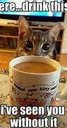 Image result for Coffee Funny Animal Memes