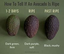 Image result for Ripe vs Unripe Avocado