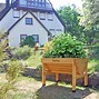 Image result for Outside Vegetable Planters