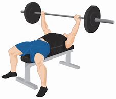 Image result for Home Gyms Exercise Equipment Bench
