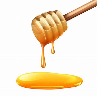 Image result for honey drawing