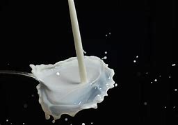 Image result for Lactose in Ant