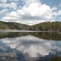 Image result for Grand Mesa National Forest Delta County Colorado