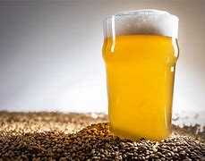 Image result for All Grain Beer Brewing