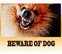 Image result for Beware of Dog Sign
