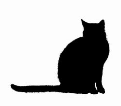Image result for Sitting Cat Silhouette