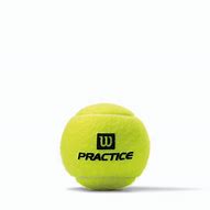 Image result for Wilson Practice 24 Cans Tennis Balls