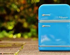 Image result for Holiday Outdoor Refrigerator