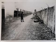 Image result for Dachau Guards Shot