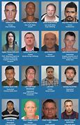 Image result for Images of Crime Stoppers Most Wanted in Great Britain