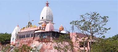 Image result for mansa devi temple
