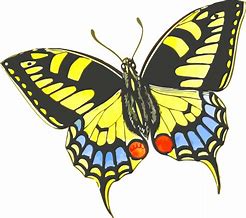 Image result for Butterfly Clip Art