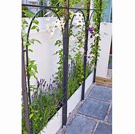 Image result for Climbing Plant Support