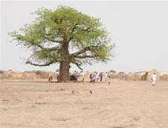 Image result for Nyala Sudan