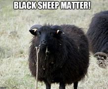 Image result for Black Sheep Funny Memes