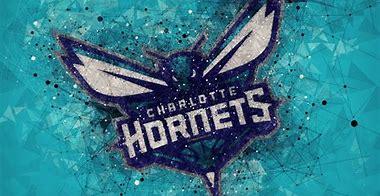Image result for Hornets Logo