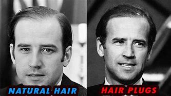 Image result for Joe Biden Corn Row Hair