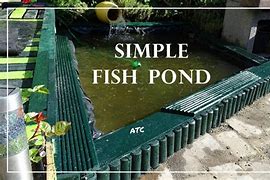 Image result for Build Your Own Fish Pond