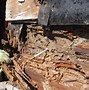 Image result for Rotted Wood Befor and After