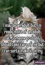 Image result for Funny Adult Quotes to Live By