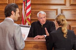 Image result for Lawyer in Court