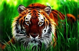 Image result for Awesome Abstract Tiger Wallpapers