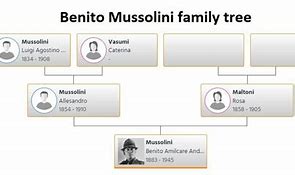 Image result for Mussolini Family Tree