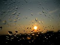 Image result for Rain Reflection Photography
