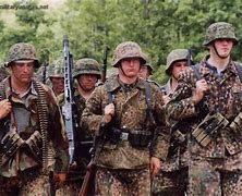 Image result for Waffen SS Combat