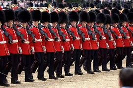 Image result for Guards Division