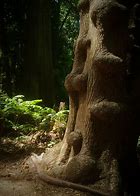 Image result for Gnarly Tree