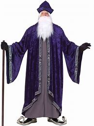 Image result for Halloween Costume Adult Wizard
