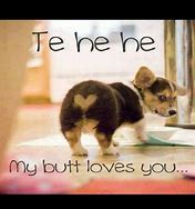 Image result for Love You Funny