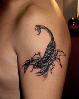Image result for Spider vs Scorpion Tattoo