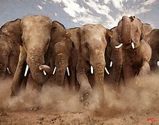 Image result for Elephant Stampede