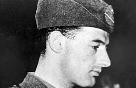 Image result for Wallenberg 4